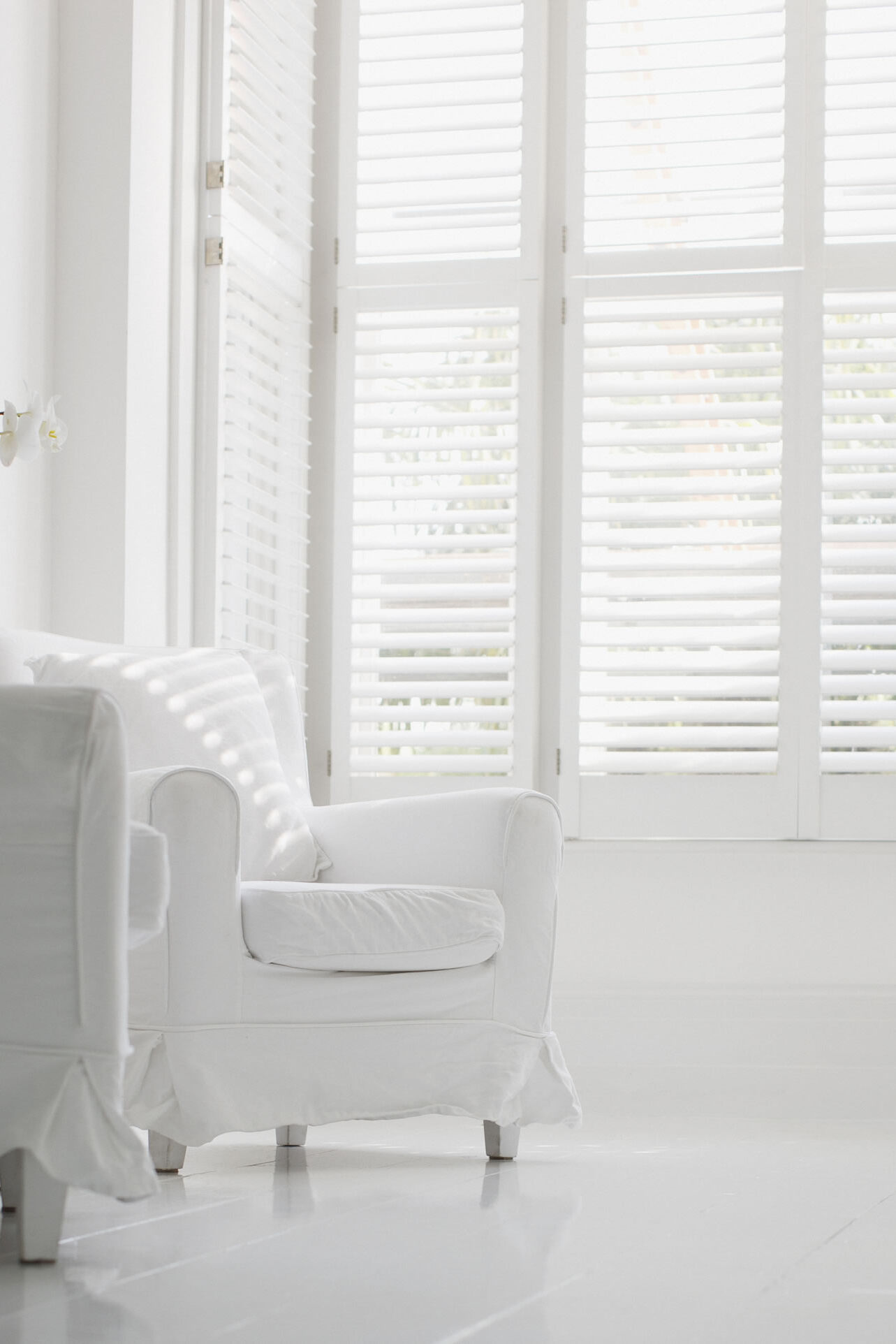 Basswood Shutters