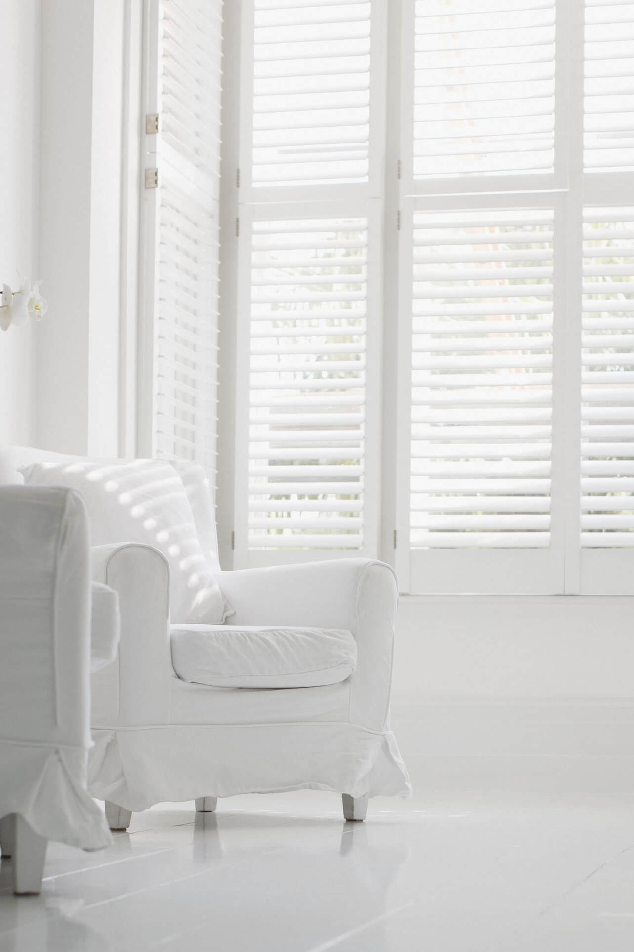 Basswood Shutters